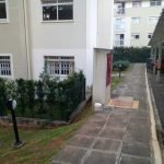 jardinagem em curitiba