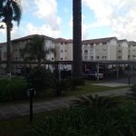 jardinagem em curitiba