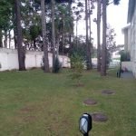 jardinagem em curitiba