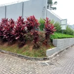 JARDINAGEM EM CURITIBA